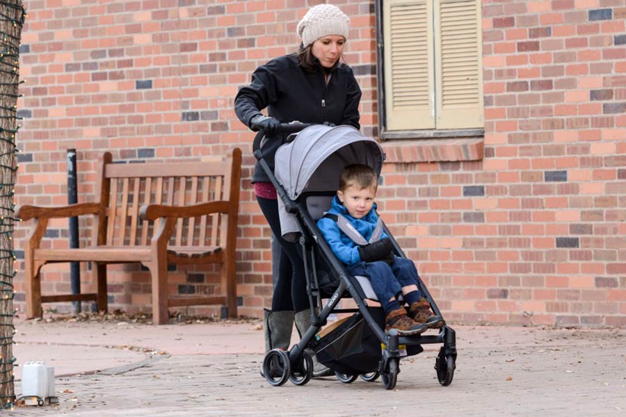 کالسکه مسافرتی ریکارو ایزی لایف Recaro Easy Life