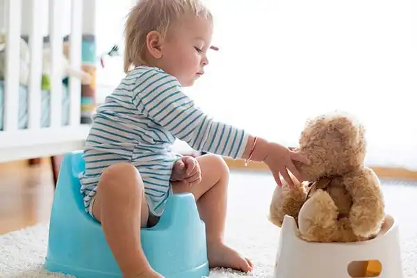 توالت کودک بهترین وسیله برای آموزش بچه‌ها در مستقل شدن برای رفتن به توالت است.