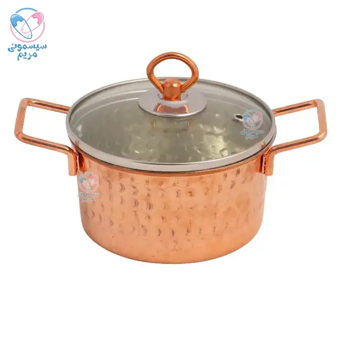 مقاوم در برابر دماهای بالا و رطوبت