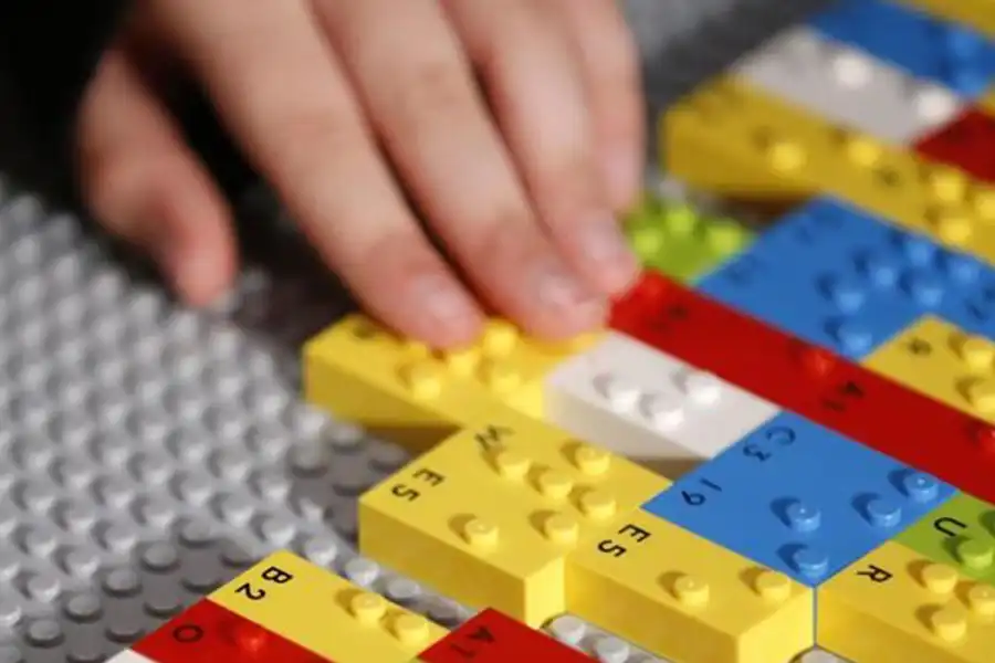 MEGA Bloks یکی از قدیمیترین کمپانیهای تولیدکننده اسباببازی در جهان است که عمده فعالیت خود را در سالهای ابتدایی، معطوف به تولید لگوهای خانهسازی رنگارنگ کرد.