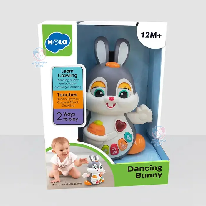 خرگوش موزیکال هولا تویز (هولی تویز) 9991 Hola Toys