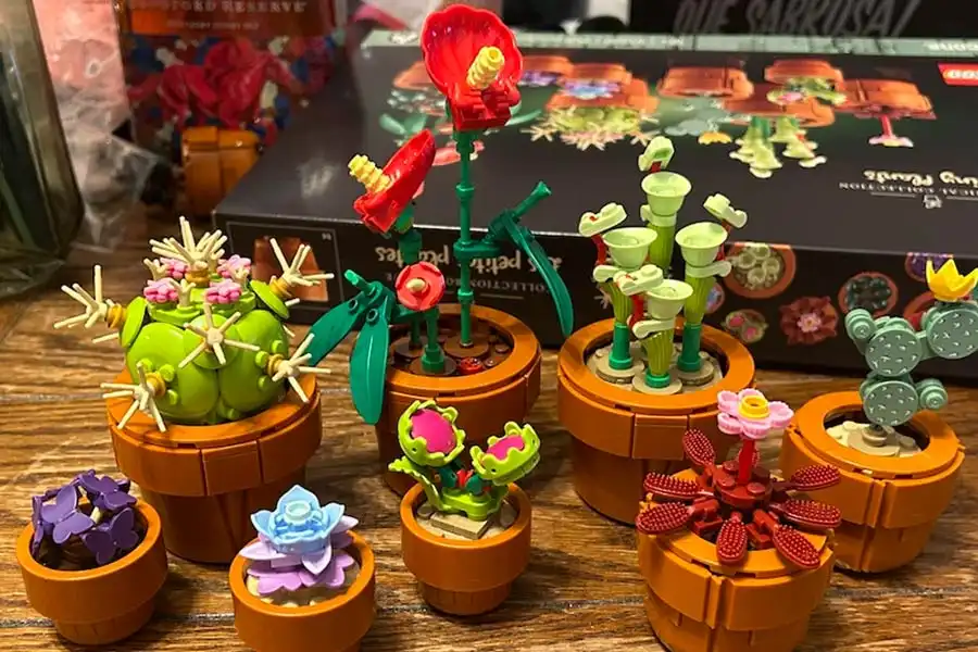 لگو Botanical Collection